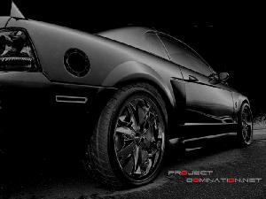 Dark Rear 700 Pro Dom.jpg